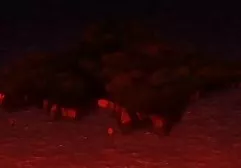 வெளிப்படையான பேன்டிஹோஸில் அழகான அழகி