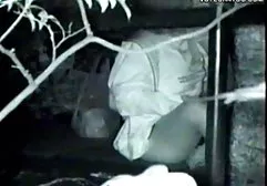 குழு செக்ஸ் ஸ்விங்கர்களில் இருபாலினரும் பங்கேற்கிறார்கள்