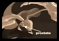 மிராண்டா தன்னை ஒரு பெரிய யோனி டில்டோவைத் தேய்த்துக் கொண்டார்