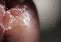 இனிப்பு சேவல் சிதறடிக்கப்பட்ட படகோட்டி
