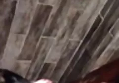 வெள்ளை கனா பெர்டோலிட் கழுதை ஆசிய