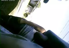ஆண் நாய் பழுப்பு நிற அழகி