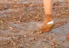 கரடுமுரடான ஸ்டாலியன் கடினமான ஸ்பைர் பிணைந்த குஞ்சு
