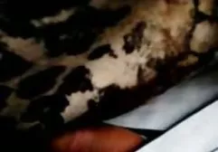 இரண்டு மோசமான அழகிகள் ஒரு மனிதனுடன் ஒரு அறையில் ஃபக்