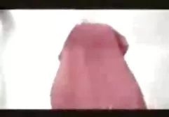 பஸ்டி வாலண்டினா பையனை நோக்கி சேவல் உறிஞ்சினார்