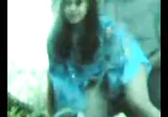 கொழுப்பு தாய் பால் உறிஞ்சும் சேவல்