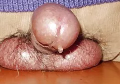 நாஸ்தியா முதன்முறையாக கழுதைக்குள் வலிக்க வலிக்கிறது